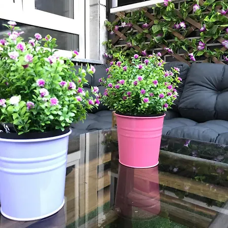 Daire Apartamento Libertad Castro Urdiales